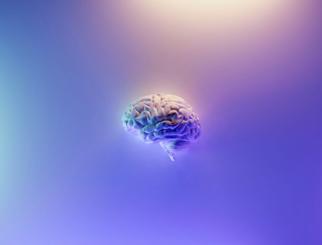 Brain Stack